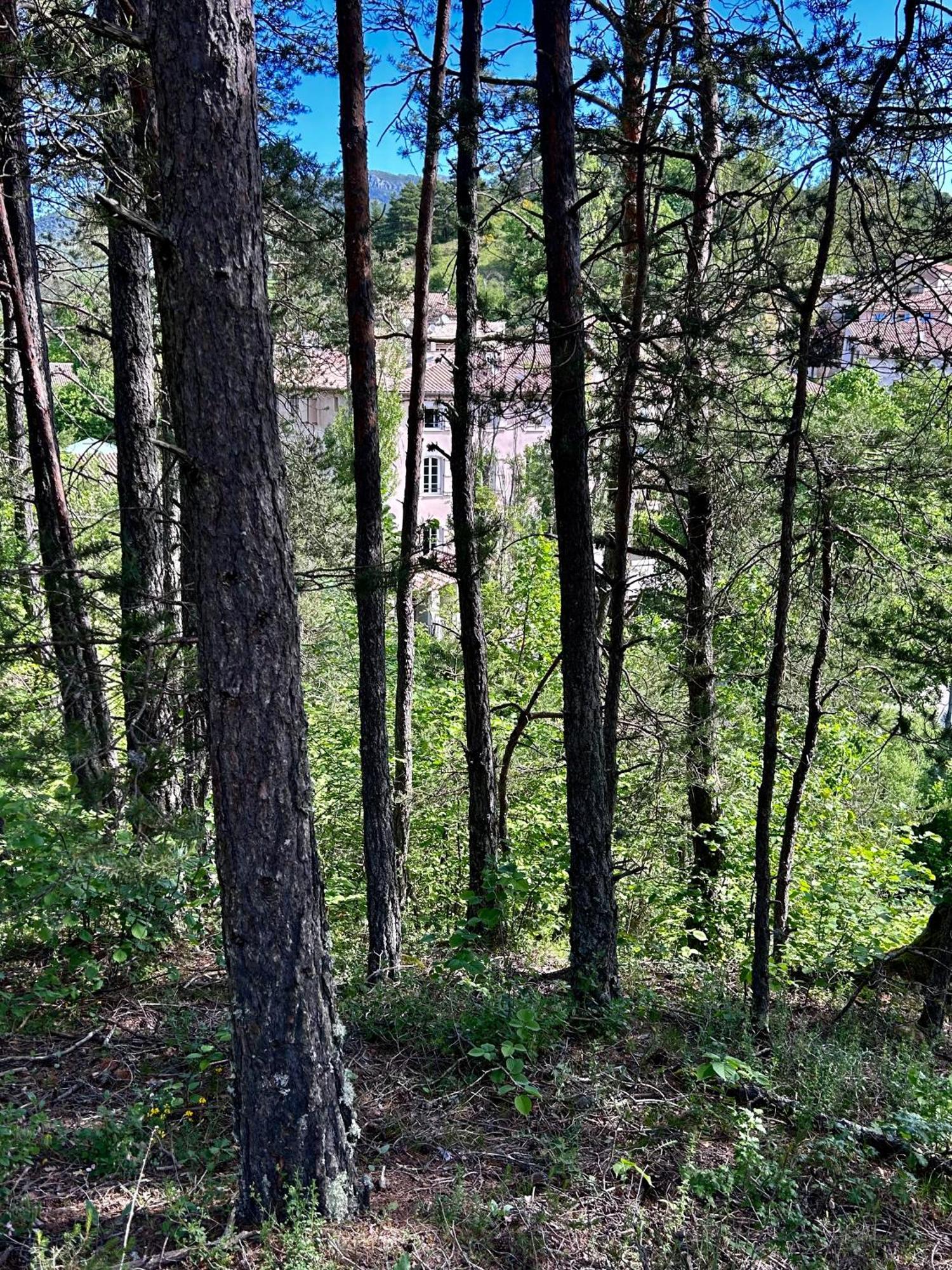 Auberge Du Bourguet Brenon Bagian luar foto